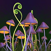 "Волшебные" грибы