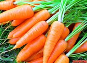 Почему морковка оранжевая?